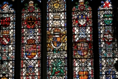 IMG_3575